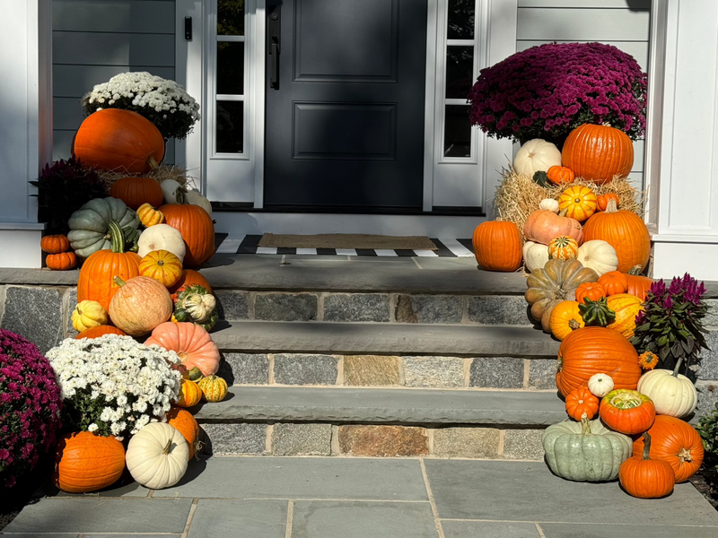 porch pumpkin fall autumn display decorations new jersey westfield summit mountainside cranford garwood NJ