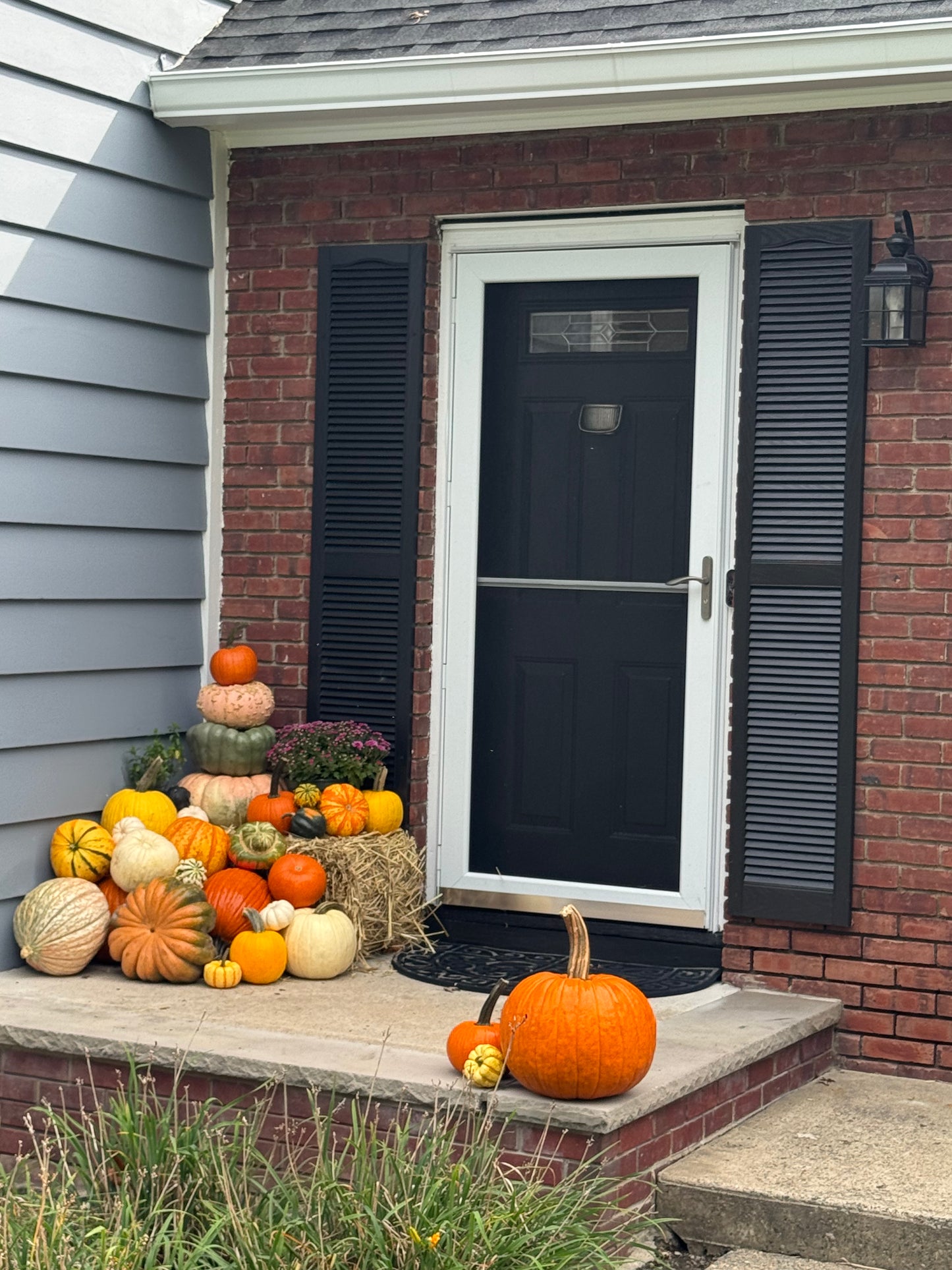 Classic Package - Pumpkin Display (Design Add-on Optional)